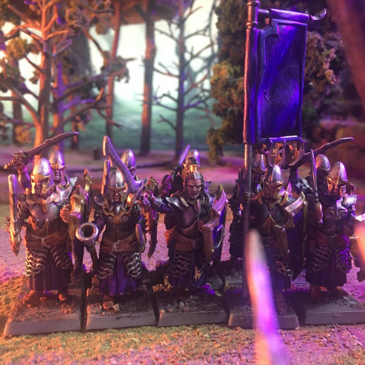 Dark elves Swordsmen