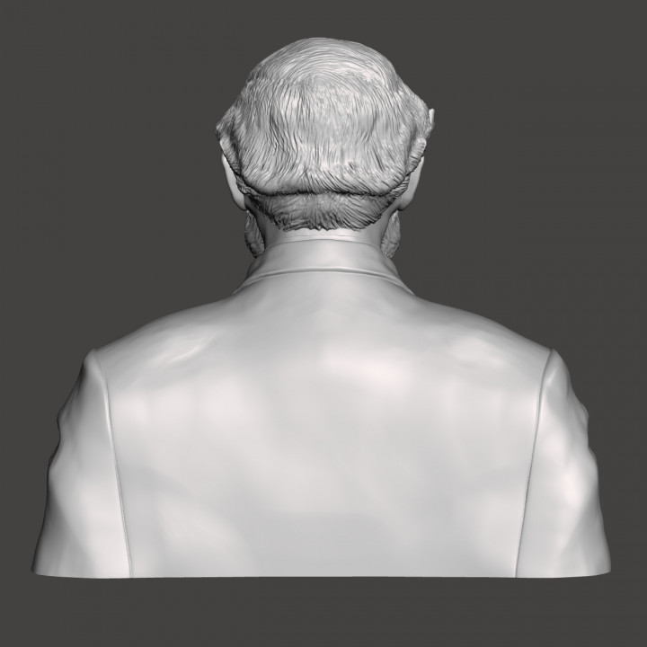 Robert E. Lee - High-Quality STL File for 3D Printing (PERSONAL USE) image
