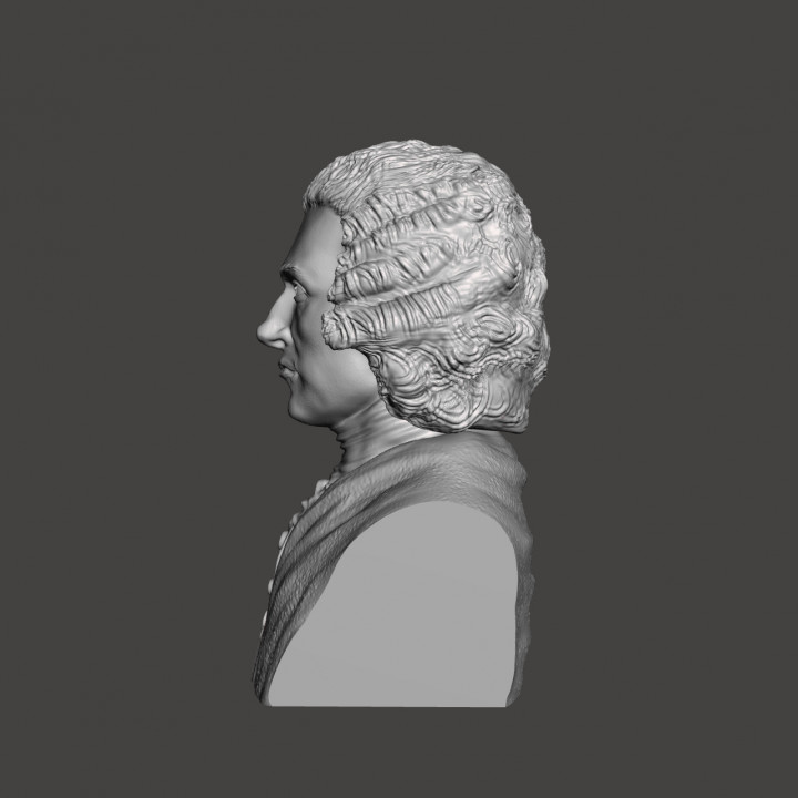 Jean-Jacques Rousseau - High-Quality STL File for 3D Printing (PERSONAL USE)