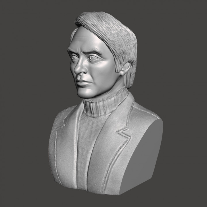 Carl Sagan - High-Quality STL File for 3D Printing (PERSONAL USE) image