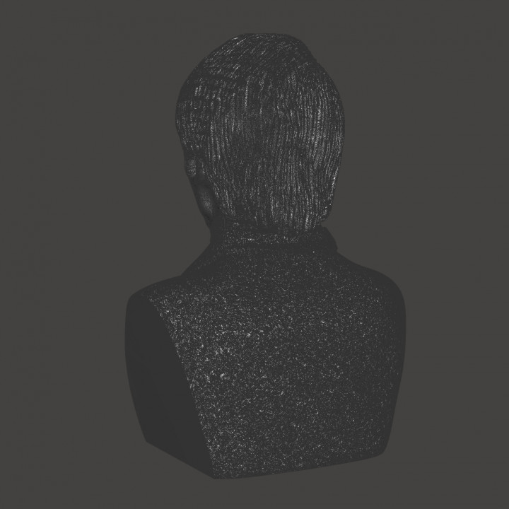 Carl Sagan - High-Quality STL File for 3D Printing (PERSONAL USE) image