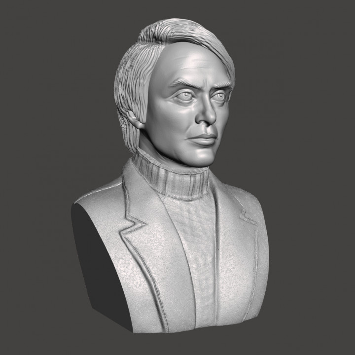 Carl Sagan - High-Quality STL File for 3D Printing (PERSONAL USE) image