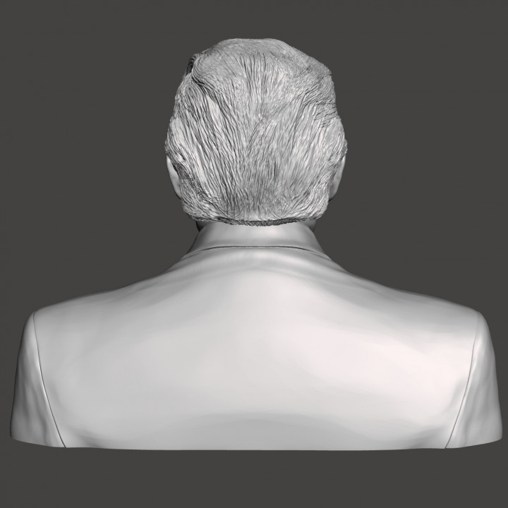 3D Printable Donald Trump - High-Quality STL File for 3D Printing ...