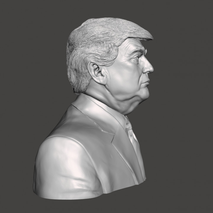 3D Printable Donald Trump - High-Quality STL File for 3D Printing ...