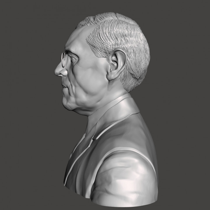 Woodrow Wilson - High-Quality STL File for 3D Printing (PERSONAL USE) image