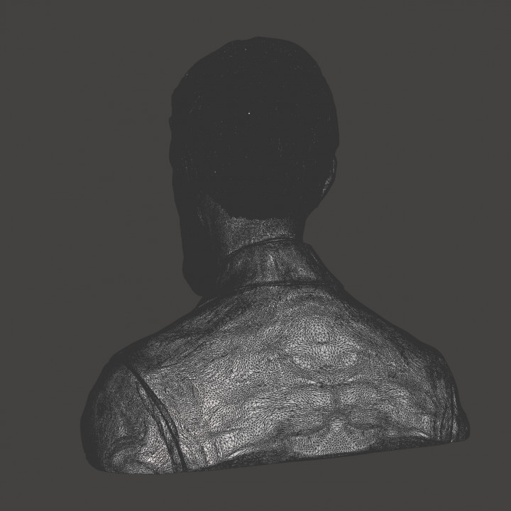 D.H. Lawrence - High-Quality STL File for 3D Printing (PERSONAL USE) image