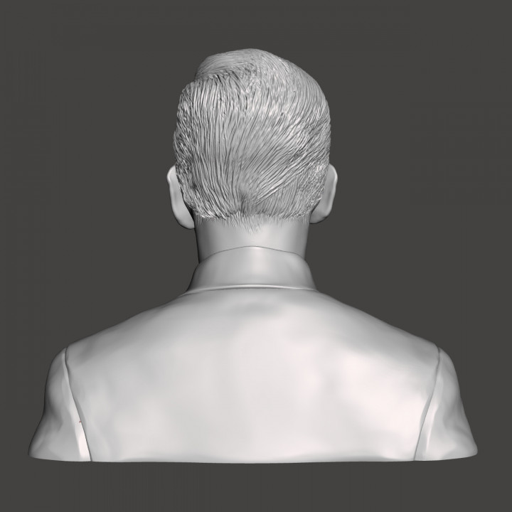 J.D. Salinger - High-Quality STL File for 3D Printing (PERSONAL USE) image
