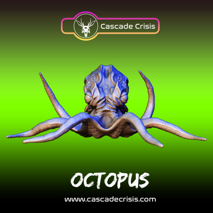 Octopus (28mm & Display Size)