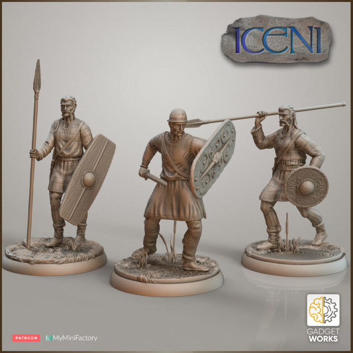 Celtic British Warriors - Iceni image