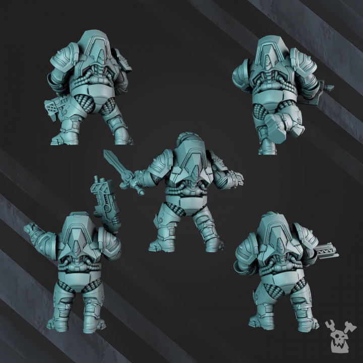 Nibelung Warriors (build kit) image