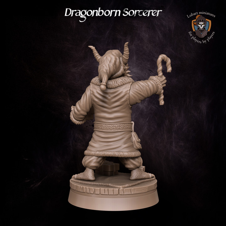 Dragonborn Sorcerer