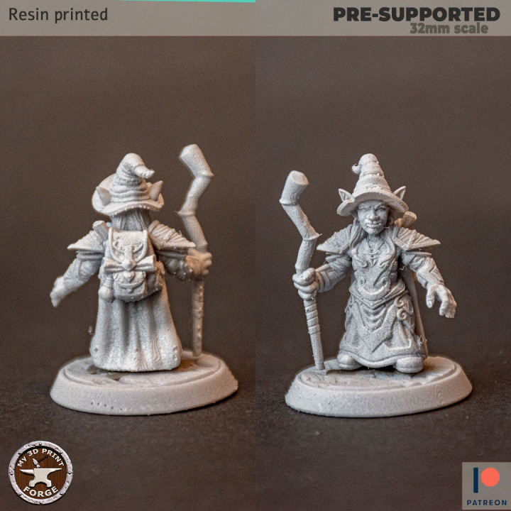Goblin Little Witch