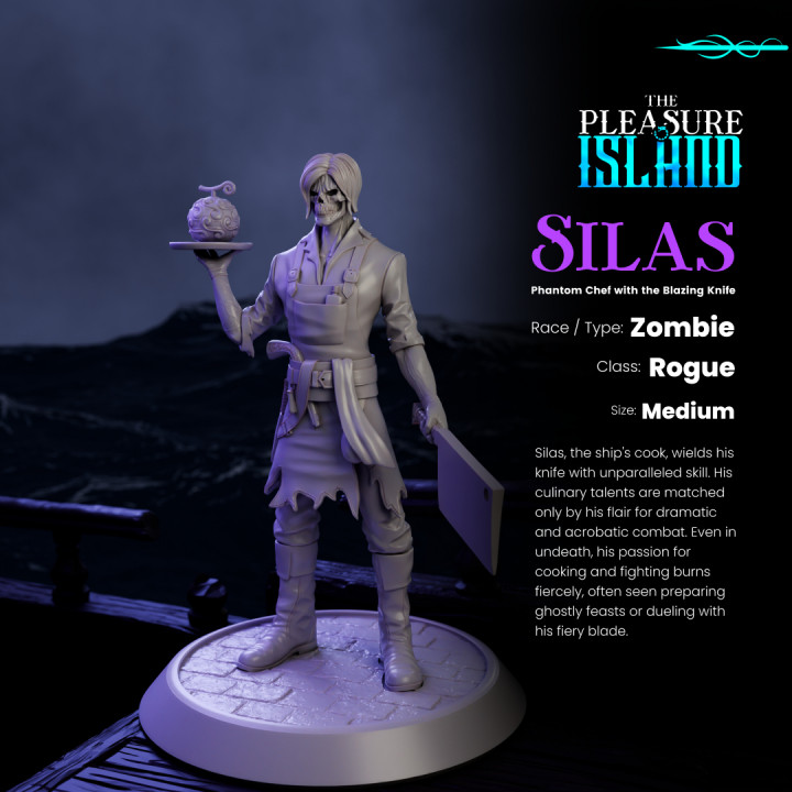 Pirate Zombie Rogue Silas - PRE SUPPORTED image