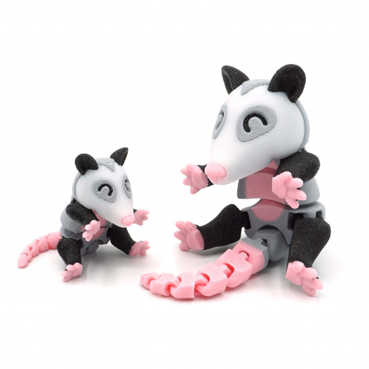 Articulated Opossum image