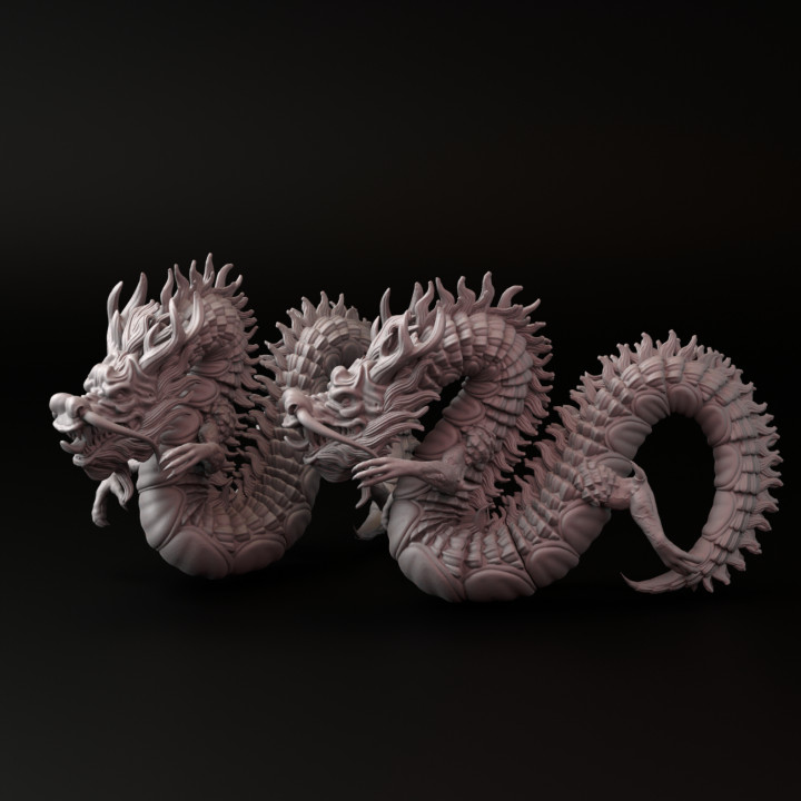 The year of the Dragon image