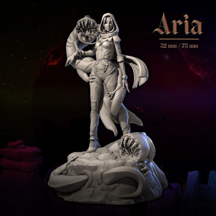 Aria 32 and 75 image