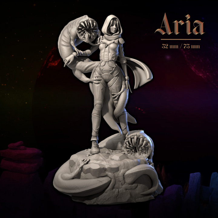 Aria 32 and 75 image
