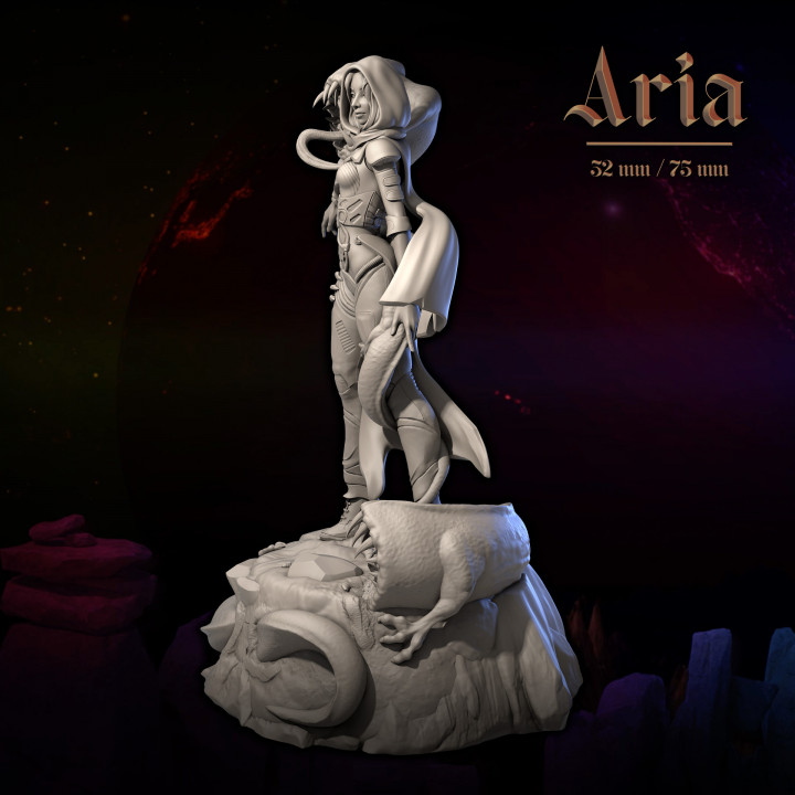 Aria 32 and 75 image