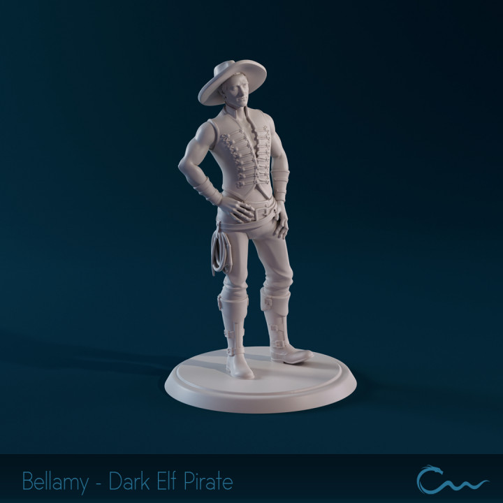 Bellamy Draven - Dark Elf Pirate image
