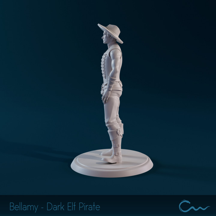 Bellamy Draven - Dark Elf Pirate image