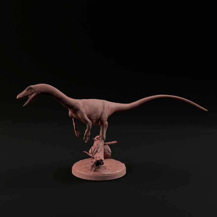 Coelophysis 1-20 scale pre-supported dinosaur image