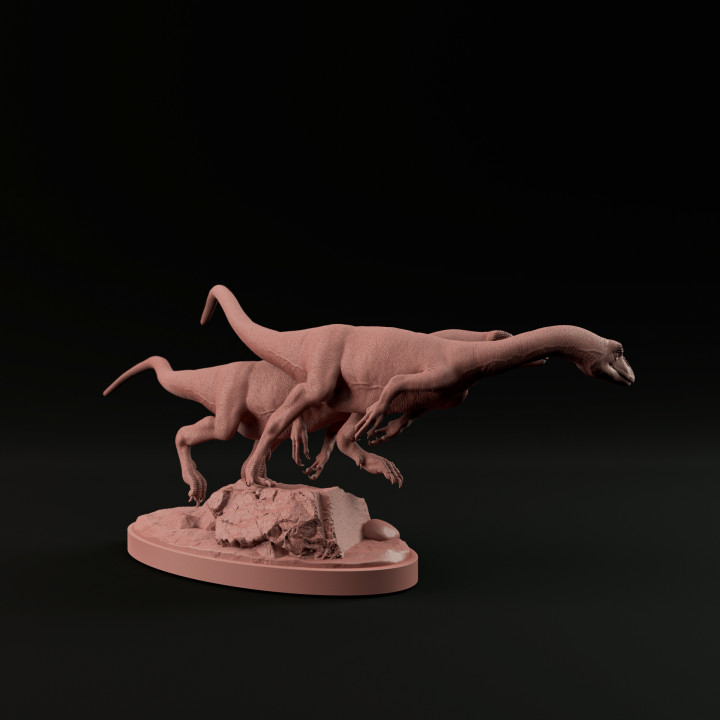 Coelophysis chasing 1-20 scale pre-supported dinosaur image