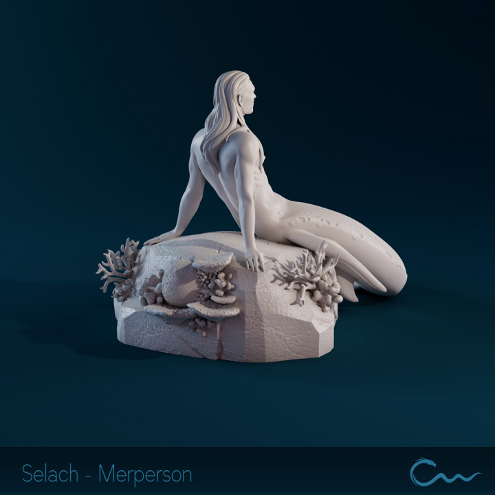 Merperson - Selach image