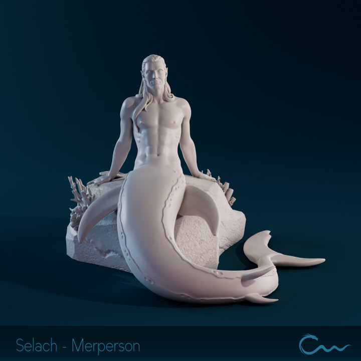 Merperson - Selach image