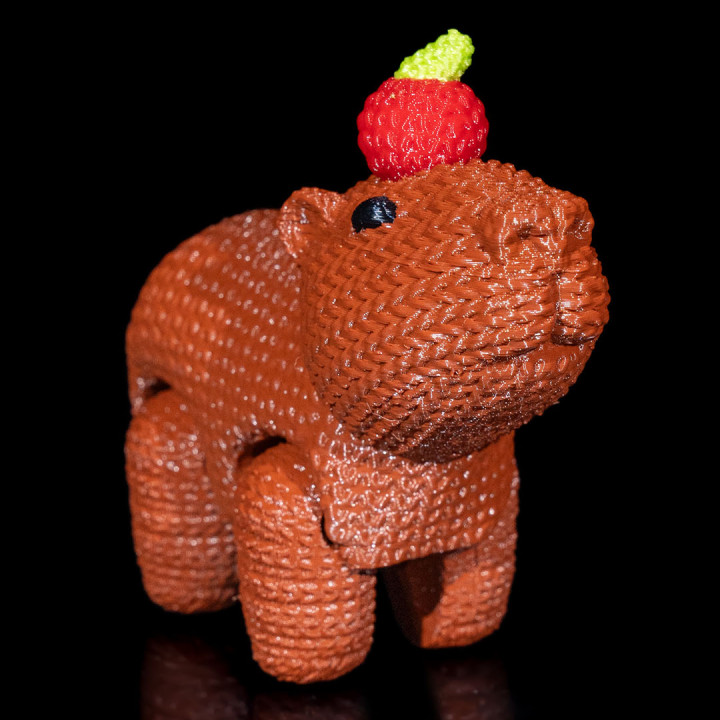 CapyCrochet