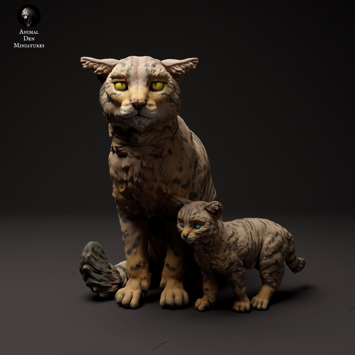 Scottish Wildcat with Kitten image