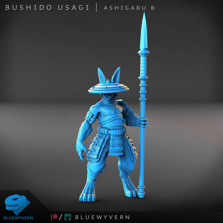 Bushido Usagi - Ashigaru B image
