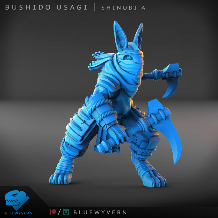 Bushido Usagi - Shinobi A image