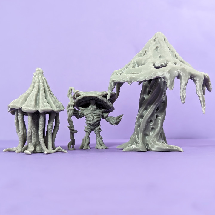 Fungal Frenzy Collection - with DnD Oneshot image