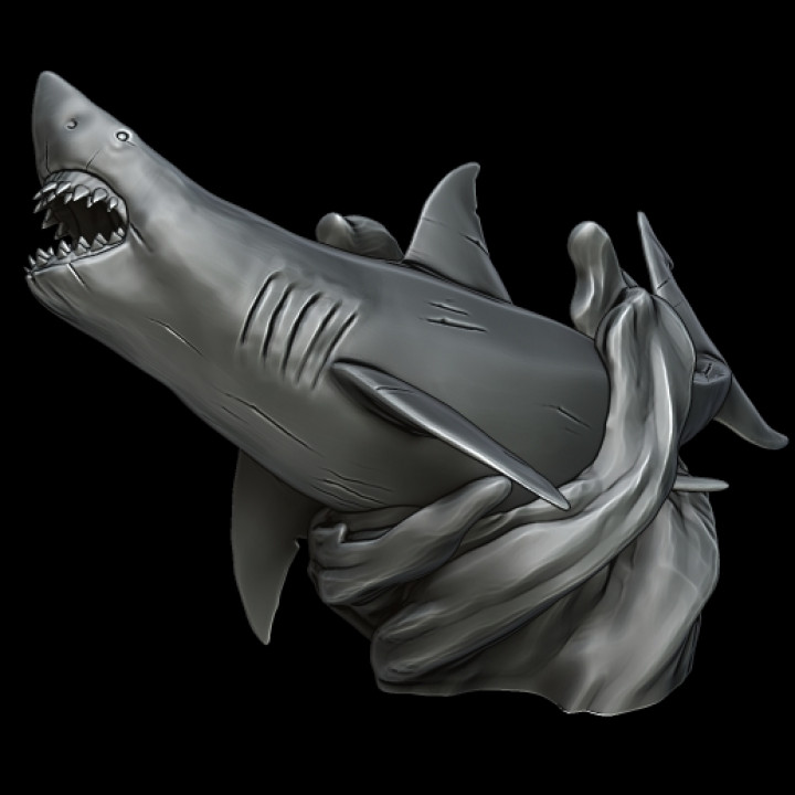 Great White Sharks (2) image