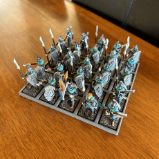 Picture of print of High Elf Spearmen Unit | 32mm Scale Presupported