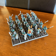 Picture of print of High Elf Spearmen Unit | 32mm Scale Presupported