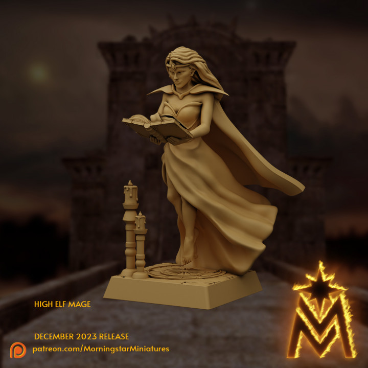 High Elf Mage | 32mm Scale Presupported image