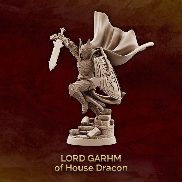 Lord Garhm of House Dracon - Human Paladin image