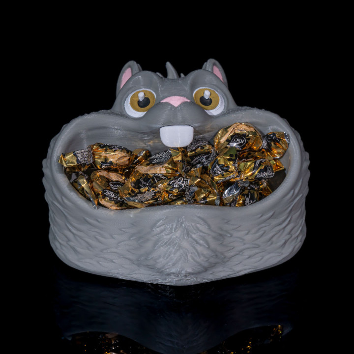 Hamster Mouth-Pouch image