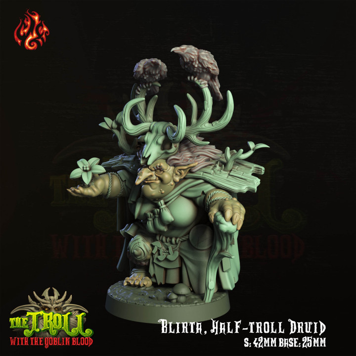 Blirta, Half-troll Druid image