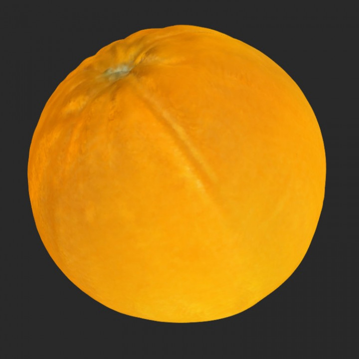 Navel Orange (3D Scan)