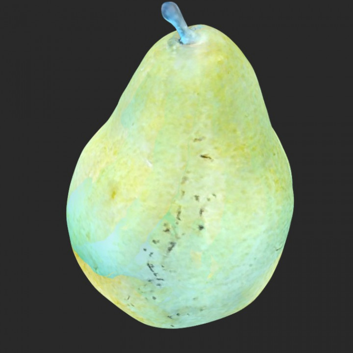 D'anjou Pear (3D Scan) image
