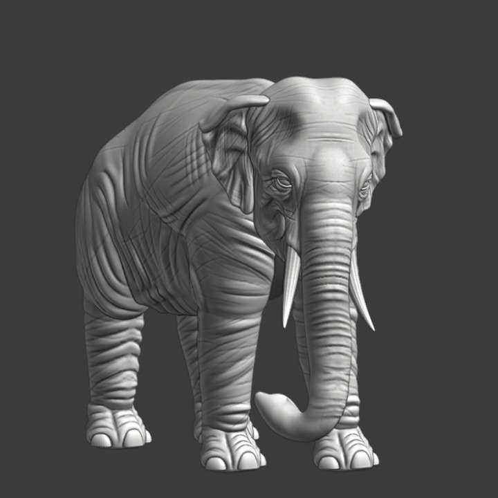 Elephant - Printable 3D model