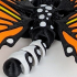 Exclusive_Flexi Factory Butterfly print image