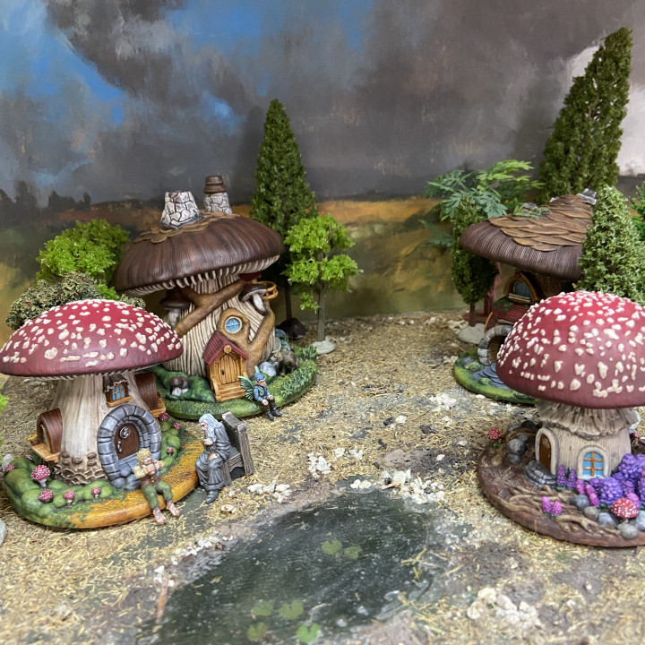 Mushrooms Village image