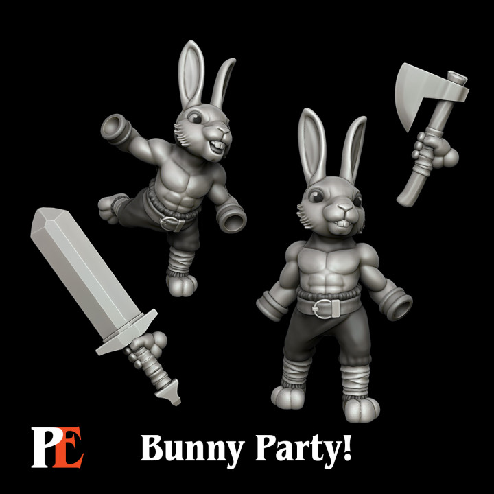 Bunny Barbarian image