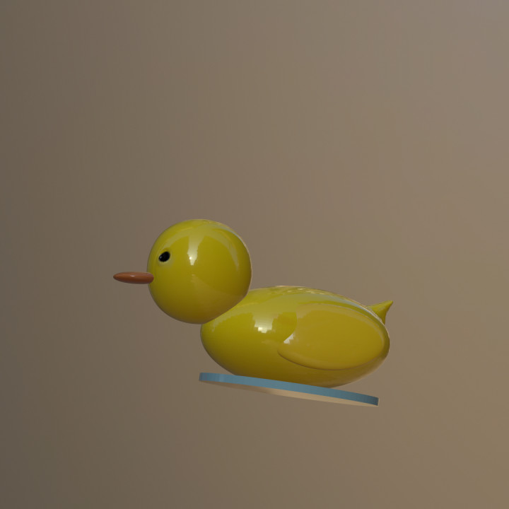 Duck image