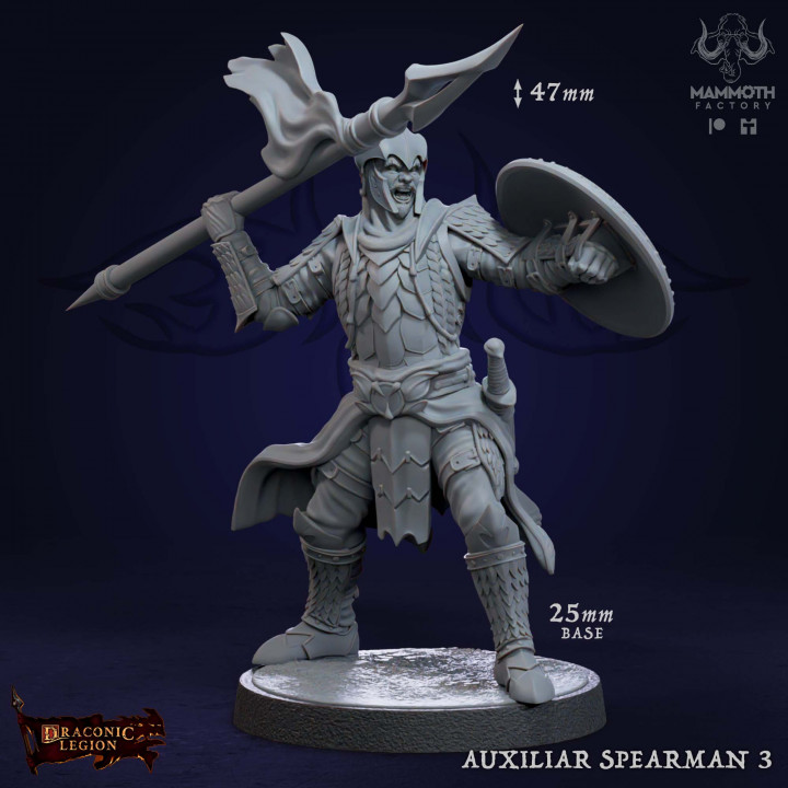 Auxilliar Spearmen Warband image