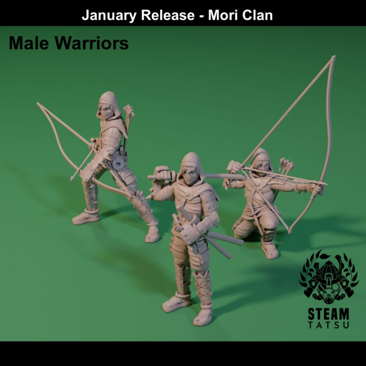 Mori - Male Warriors image