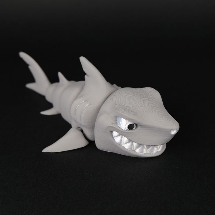 Bro Megalodon Shark - Print-in-Place | STL file for 3D Printing